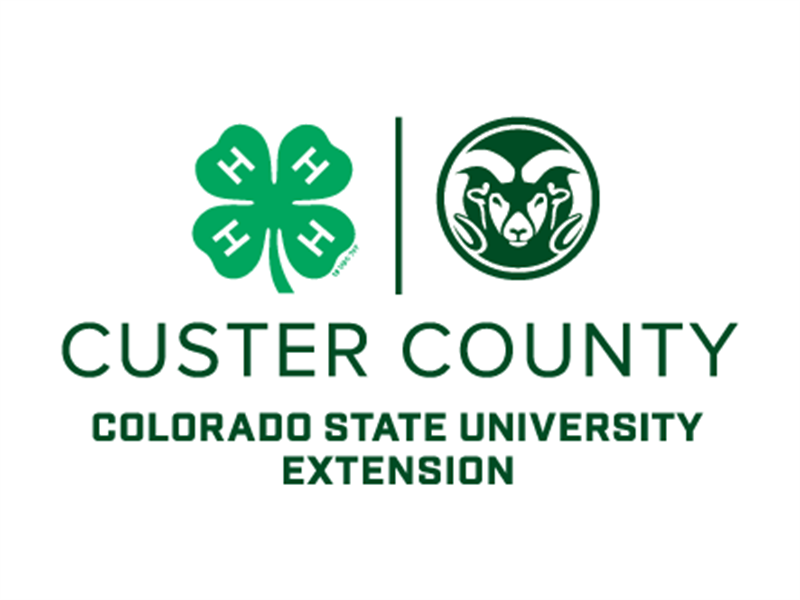 Logo for 2026 Custer County fair